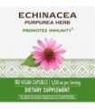Natures Way Echinacea Purpurea Herb, 1.200 mg por porção, 180 VCaps