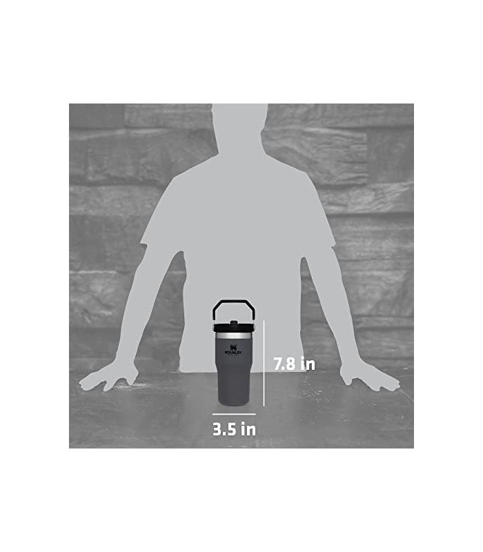 Copo de aço inoxidável Stanley IceFlow com canudo - Garrafa de água isolada a vácuo para casa, escritório ou carro - Copo reutil