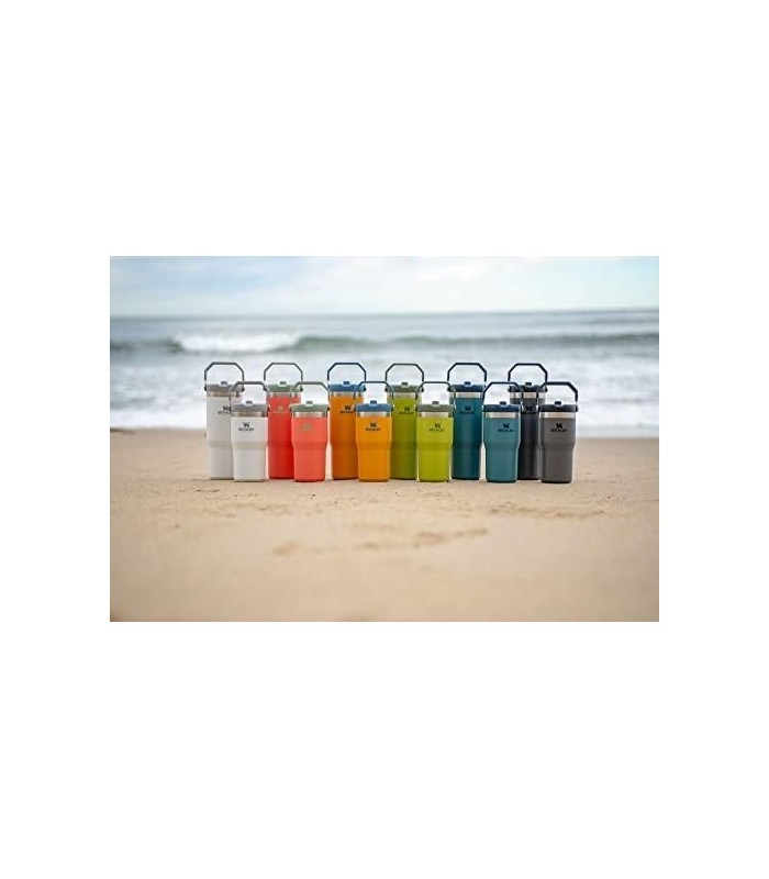 Copo de aço inoxidável Stanley IceFlow com canudo - Garrafa de água isolada a vácuo para casa, escritório ou carro - Copo reutil