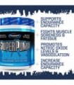 Gaspari Nutrition SuperPump MAX, o melhor pó pré-treino, pré-treino de energia sustentada, reforço de óxido nítrico, crescimento