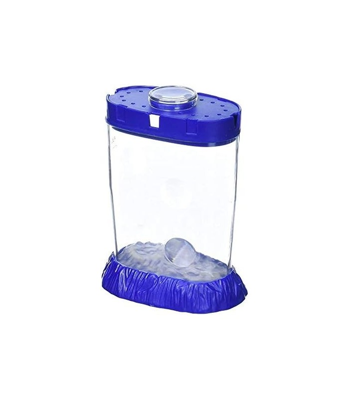 Sea Monkeys Ocean Zoo 6Piece Neon