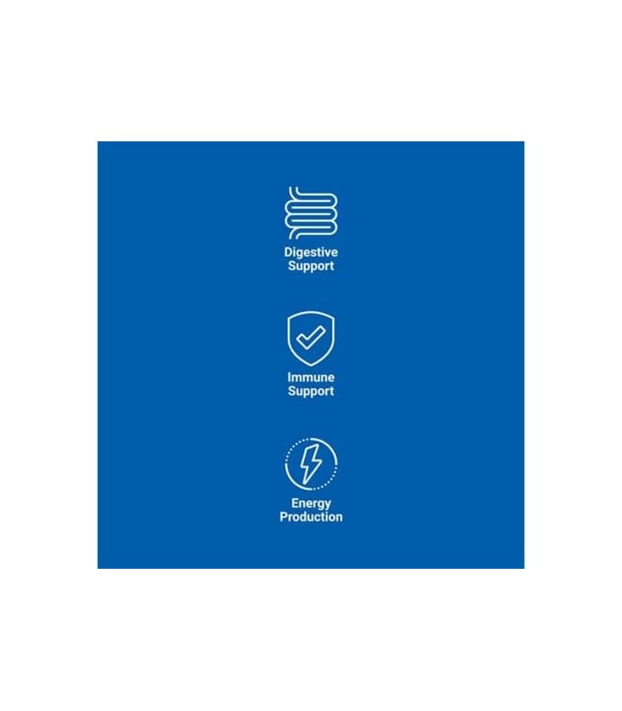 Dr. Mercola Complete Probiotics Powder Supplement para cães e gatos, 3,17 onças (90g), suporta função imunológica, suporte, não