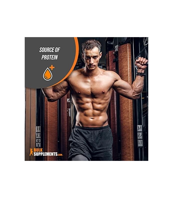 Proteína Caseína em Pó - Sem Sabor, Sem Glúten, Sem Adição de Açúcar e Pura Proteína em Pó, Caseína Micelar - 25g de Proteína -