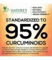 Cúrcuma Curcumina com BioPerine & Gengibre 95% Curcuminóides 1950mg - Suporte Inflamatório Natural das Articulações, Pimenta Pre