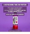 Protein2o 15g Whey Protein Infused Water, Dragon Fruit Blackberry, 16,9 oz Botte (Pacote com 12)