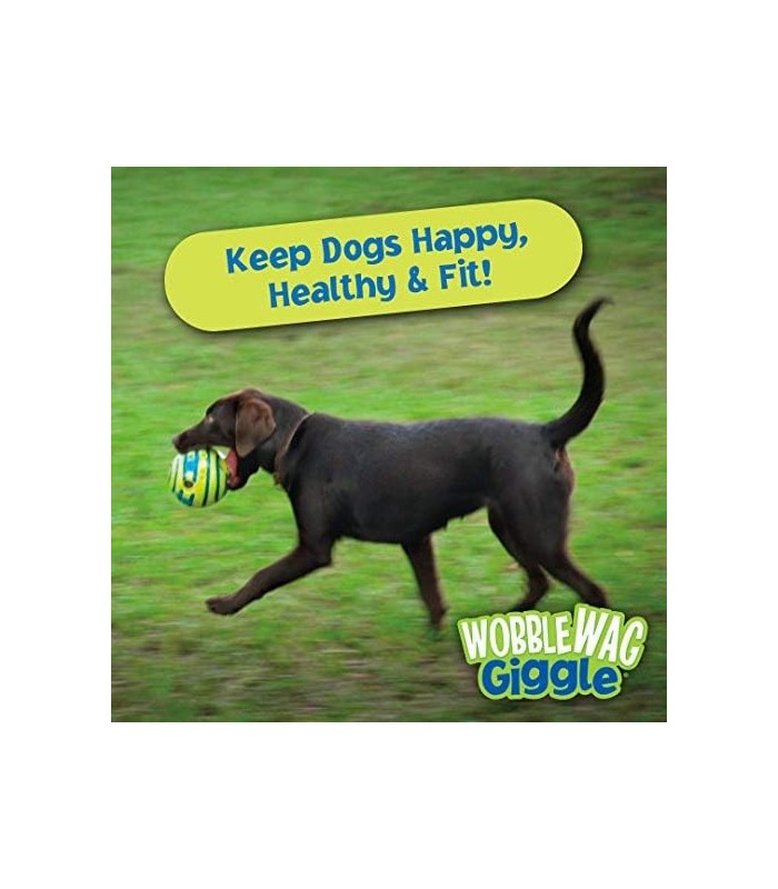 Wobble Wag Ball, brinquedo interativo para cães, sons divertidos quando rolado ou sacudido, animais de estimação sabem tudo, com