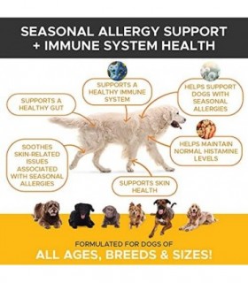 Pet Honesty Dog Allergy Relief Chews, Omega 3 Salmon Fish Oil Probiotic Supplement for Anti-Itch, Hot Spots, and Seasonal Allerg