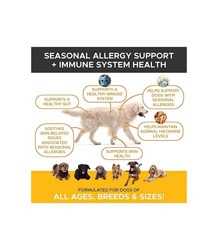 Pet Honesty Dog Allergy Relief Chews, Omega 3 Salmon Fish Oil Probiotic Supplement for Anti-Itch, Hot Spots, and Seasonal Allerg