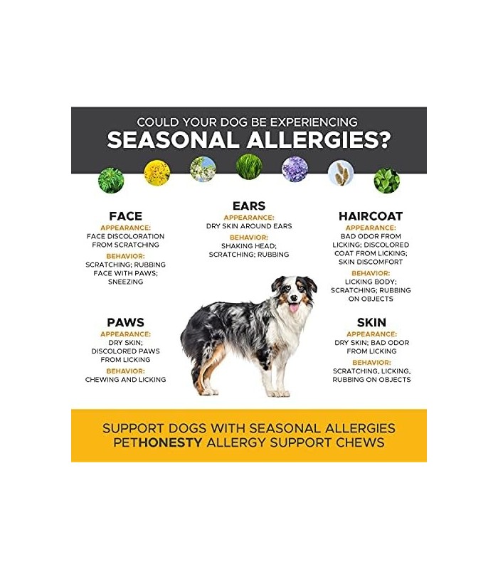 Pet Honesty Dog Allergy Relief Chews, Omega 3 Salmon Fish Oil Probiotic Supplement for Anti-Itch, Hot Spots, and Seasonal Allerg