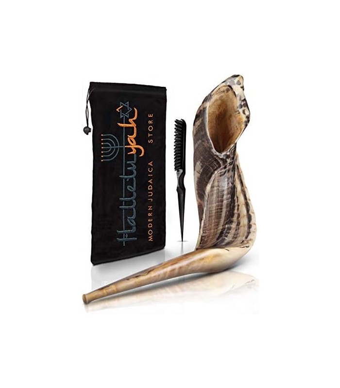 Shofar de Israel 14 - 16: KOSHER SEM ODOR Shofar Chifre de Carneiro | Bocal suave para sopro fácil | Inclui bolsa de veludo, esc