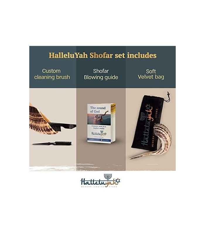 Shofar de Israel 14 - 16: KOSHER SEM ODOR Shofar Chifre de Carneiro | Bocal suave para sopro fácil | Inclui bolsa de veludo, esc