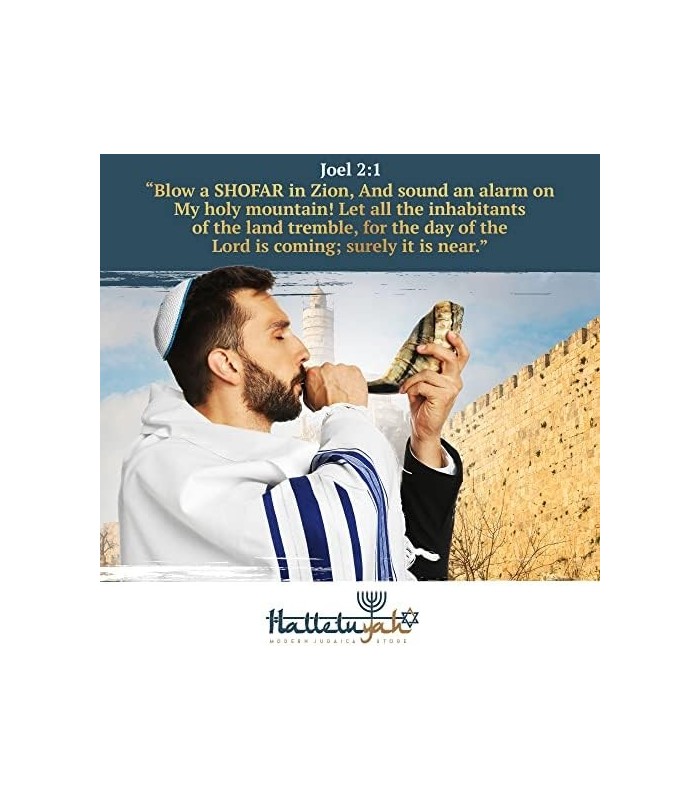 Shofar de Israel 14 - 16: KOSHER SEM ODOR Shofar Chifre de Carneiro | Bocal suave para sopro fácil | Inclui bolsa de veludo, esc
