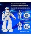 BEIWO Smart RC Robots for Kids, Programmable Robot Toy, Remote Control Robot for Boy Toys, Dance, Singing, Talking, Gesture Sens