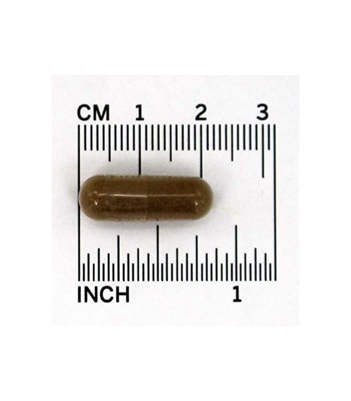 NOW Foods Raiz de Valeriana 500 mg, 100 unidades