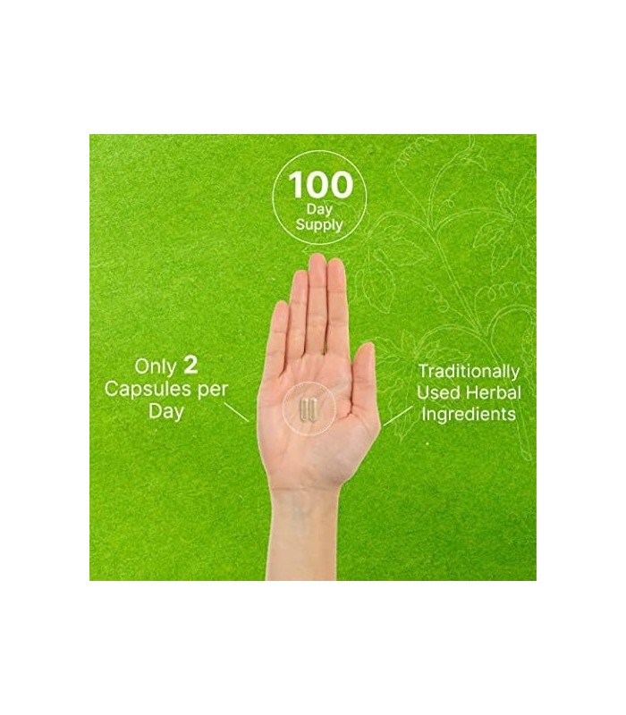 Eagleshine Vitaminas Bitter Melon 15.000mg Equivalente de Ervas, 200 Cápsulas, 10:1 Extrato de Fruta de Melão Amargo Selvagem |