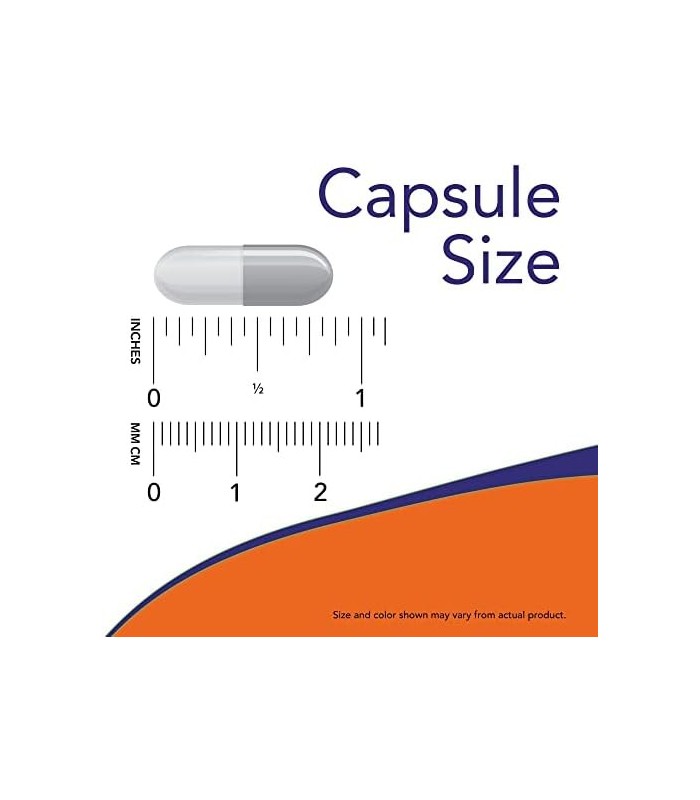 Suplementos  NOW, extrato de casca de pinheiro 240 mg, 90% de extrato de casca de pinheiro OPC, (da casca interna do pinheiro ve
