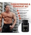 HUMANX Turkesterone & Tongkat Ali 900mg - Suporta Energia, Resistência e Recuperação e Crescimento Muscular - Suplemento de Turk