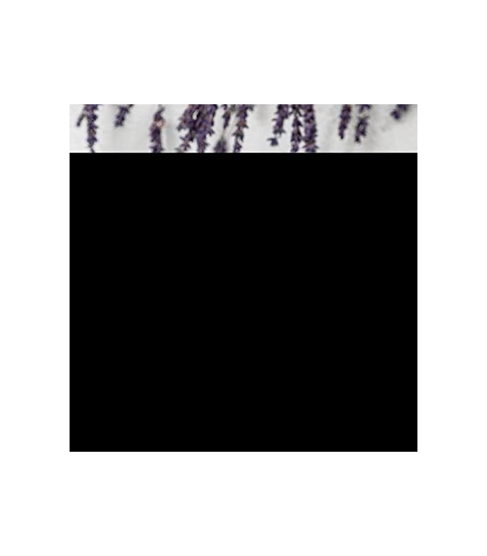 Natures Sunshine HSNW, 100 cápsulas