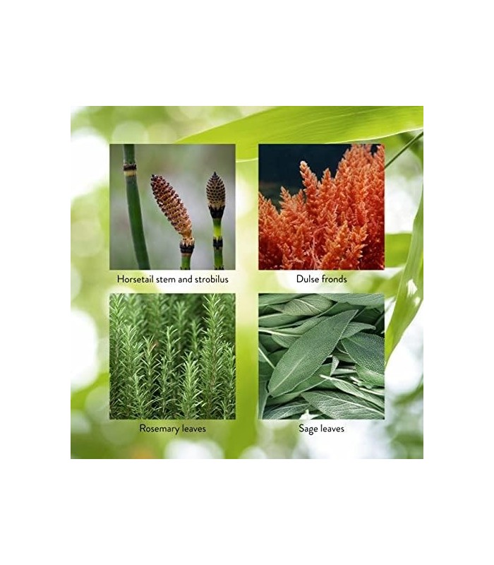 Natures Sunshine HSNW, 100 cápsulas