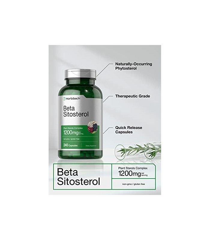 Beta Sitosterol 1200mg | 240 Cápsulas | Mega Força | Complexo de Esteróis Vegetais | Suplemento sem OGM e sem Glúten | por Horba