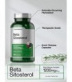 Beta Sitosterol 1200mg | 240 Cápsulas | Mega Força | Complexo de Esteróis Vegetais | Suplemento sem OGM e sem Glúten | por Horba