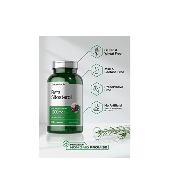Beta Sitosterol 1200mg | 240 Cápsulas | Mega Força | Complexo de Esteróis Vegetais | Suplemento sem OGM e sem Glúten | por Horba