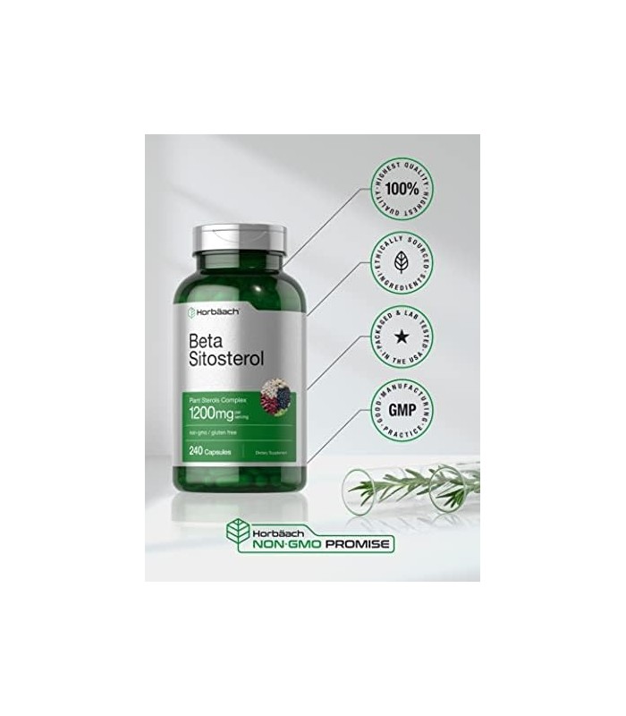Beta Sitosterol 1200mg | 240 Cápsulas | Mega Força | Complexo de Esteróis Vegetais | Suplemento sem OGM e sem Glúten | por Horba