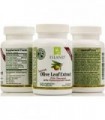 Island Nutrition, cápsulas de extrato de folha de oliveira ' 25% de oleuropeína (40% de polifenóis totais), mais 20% de complexo