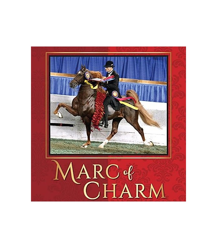 Breyer Horses Série Tradicional WC Marc of Charm | Modelo de brinquedo de cavalo | 11,5 x 9 | Cavalo em escala 1:9 | Modelo 1847