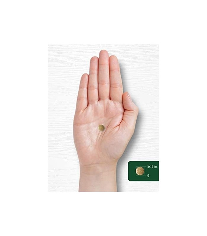 Carlyle Ginkgo Biloba 3000mg | 400 Comprimidos | Suplemento Vegetariano | Não transgênico, sem glúten