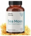 Cápsulas de Superalimento Sea Moss 1.000 MG Organic Irish Sea Moss Suporta Sistema Imunológico Saudável (120 Cápsulas)