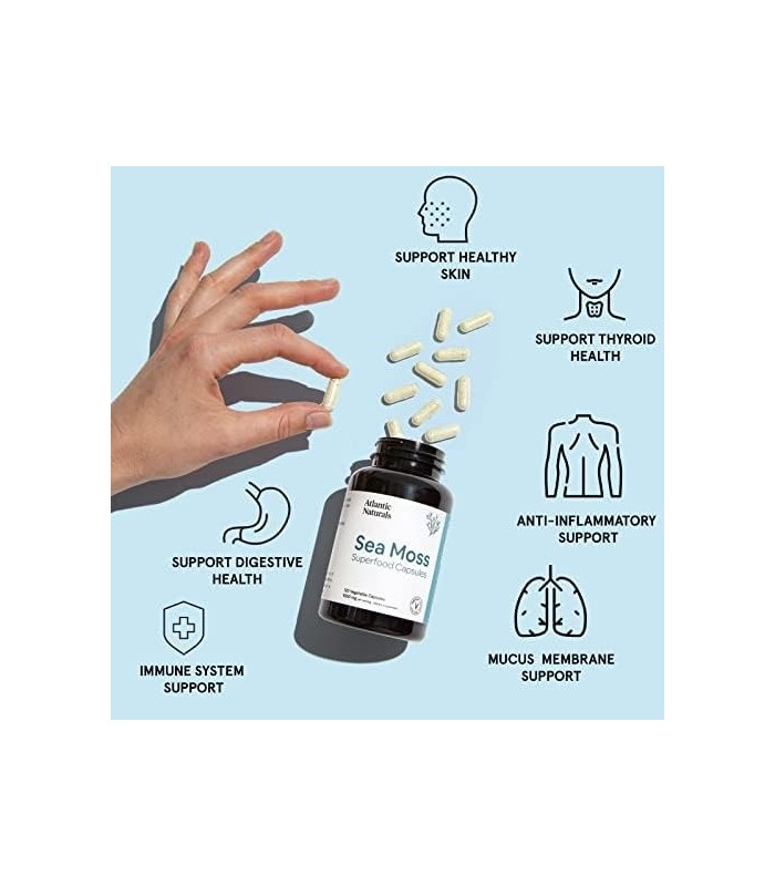 Cápsulas de Superalimento Sea Moss 1.000 MG Organic Irish Sea Moss Suporta Sistema Imunológico Saudável (120 Cápsulas)