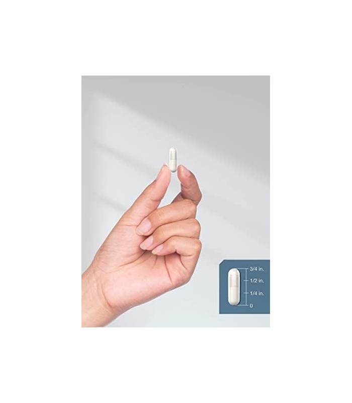 Suplemento de Carnosina de Zinco | 84mg por cápsula | 150 Contagem | Não transgênico e sem glúten | por Horbaach