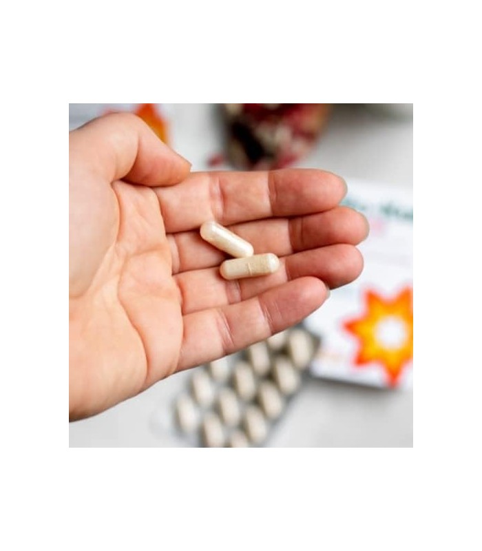 Probióticos Avançados Bio-Kult -14 Cepas, Suplemento Probiótico, Probióticos para Adultos, Lactobacillus Acidophilus, Sem Necess