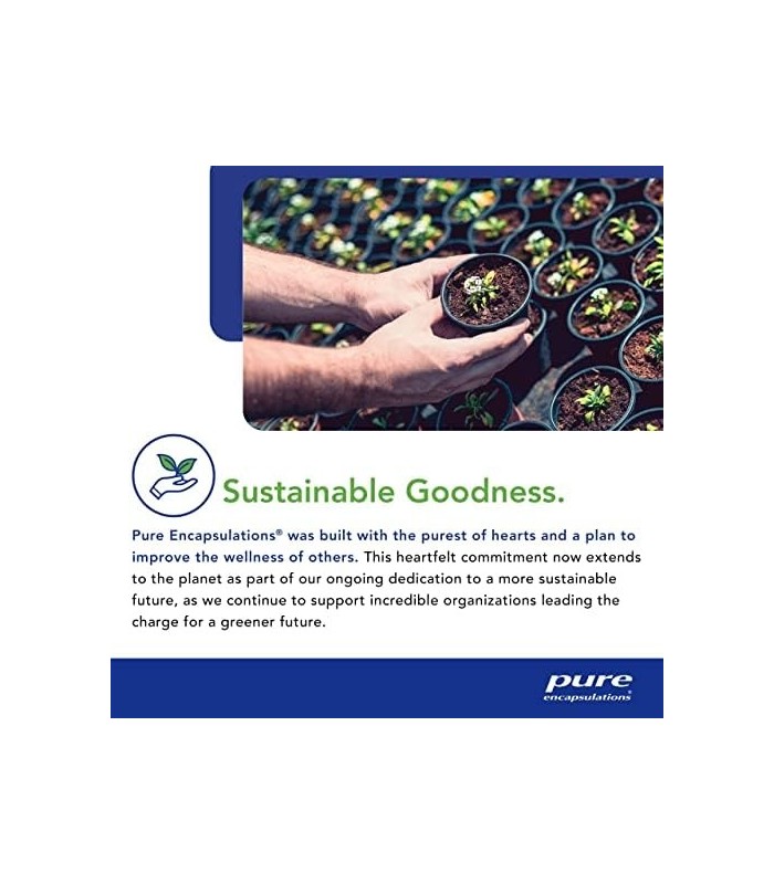 Encapsulações Puras Metilcobalamina 1.000 mcg | Suplemento de vitamina B12 para apoiar a memória e os nervos* | 60 cápsulas