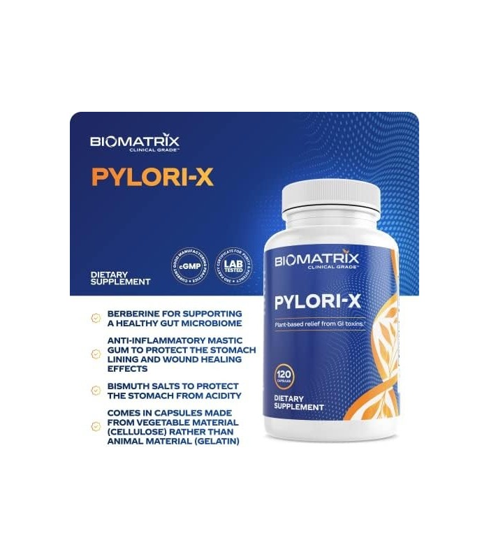 Pylori-X para defesa contra H. Pylori | Chá de Matula Goma Mástique Alternativa, Zinco Carnosina, Berberina, Sais de Bismuto | E