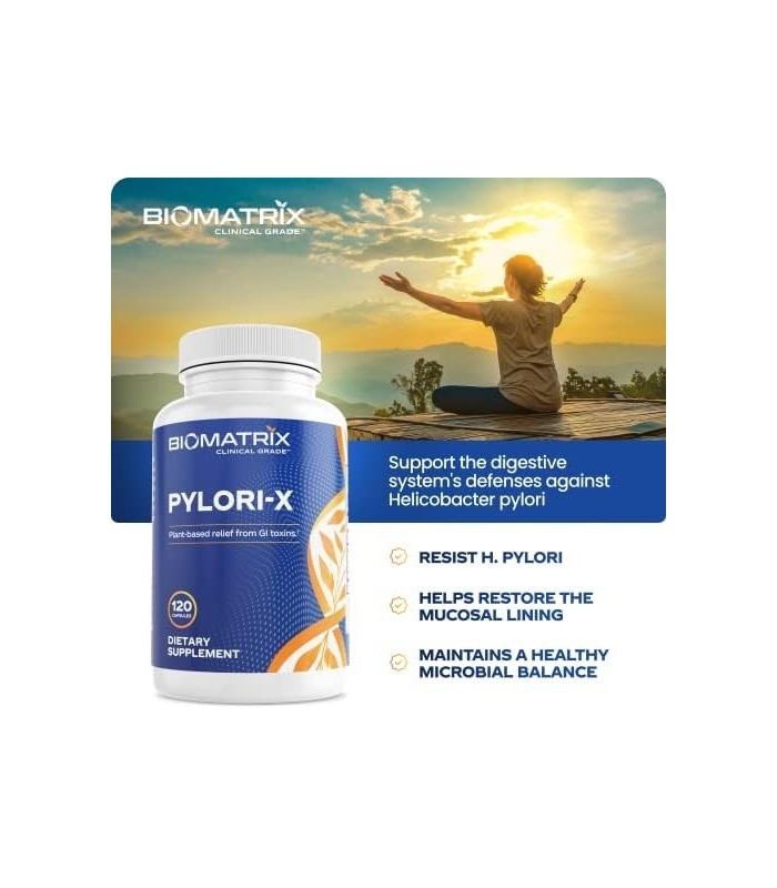 Pylori-X para defesa contra H. Pylori | Chá de Matula Goma Mástique Alternativa, Zinco Carnosina, Berberina, Sais de Bismuto | E