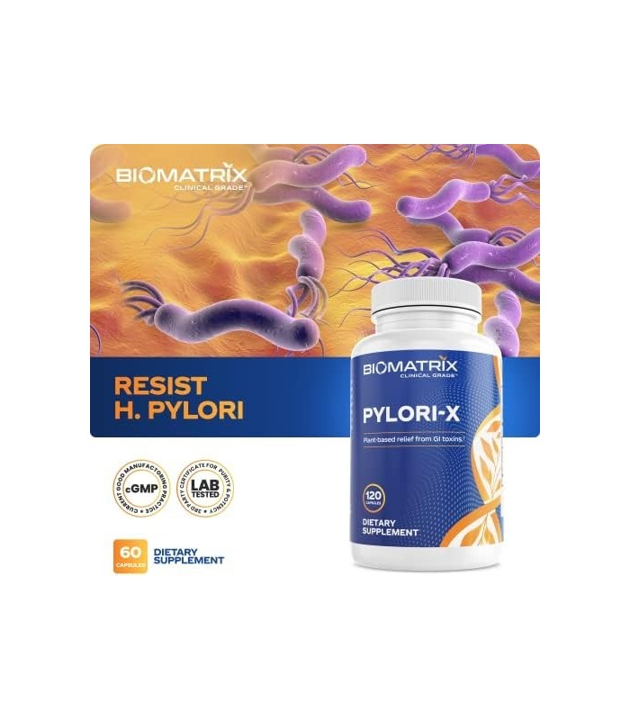 Pylori-X para defesa contra H. Pylori | Chá de Matula Goma Mástique Alternativa, Zinco Carnosina, Berberina, Sais de Bismuto | E