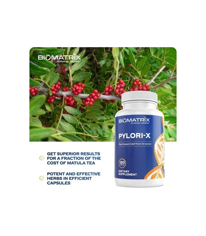 Pylori-X para defesa contra H. Pylori | Chá de Matula Goma Mástique Alternativa, Zinco Carnosina, Berberina, Sais de Bismuto | E