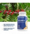 Pylori-X para defesa contra H. Pylori | Chá de Matula Goma Mástique Alternativa, Zinco Carnosina, Berberina, Sais de Bismuto | E