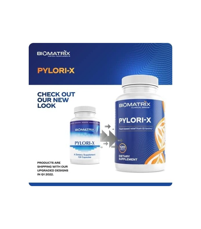 Pylori-X para defesa contra H. Pylori | Chá de Matula Goma Mástique Alternativa, Zinco Carnosina, Berberina, Sais de Bismuto | E