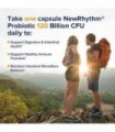 Probióticos NewRhythm 120 bilhões de CFU 36 cepas, 3 em 1 e suporte imunológico com prebióticos e enzimas, liberação direcionada