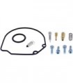 Kit de reconstrução do carburador All Balls Racing