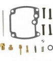 Kit de reconstrução do carburador All Balls Racing