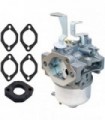 XQSMWF E1 Conjunto de carburadores do carburador compatível com o motor Vanguard 9hp EEEE1