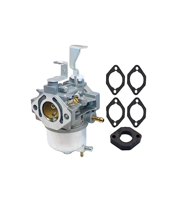XQSMWF E1 Conjunto de carburadores do carburador compatível com o motor Vanguard 9hp EEEE1