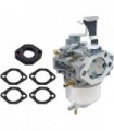 XQSMWF E1 Conjunto de carburadores do carburador compatível com o motor Vanguard 9hp EEEE1