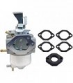 XQSMWF E1 Conjunto de carburadores do carburador compatível com o motor Vanguard 9hp EEEE1