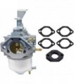 XQSMWF E1 Conjunto de carburadores do carburador compatível com o motor Vanguard 9hp EEEE1