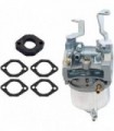 XQSMWF E1 Conjunto de carburadores do carburador compatível com o motor Vanguard 9hp EEEE1
